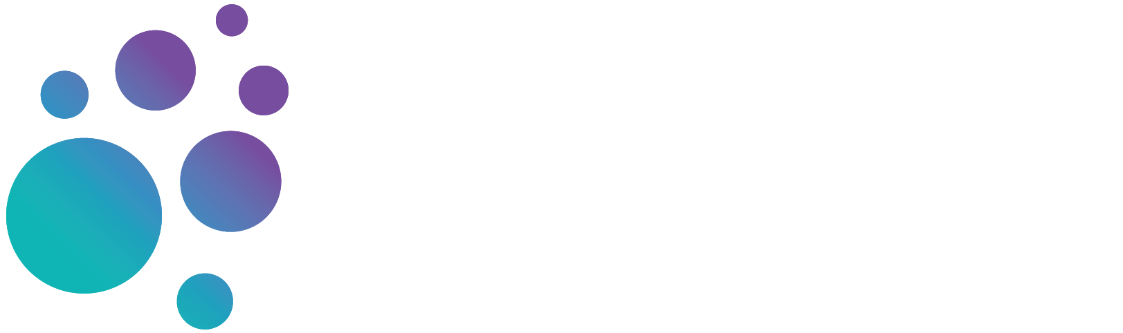 Schmidt Observatory logo